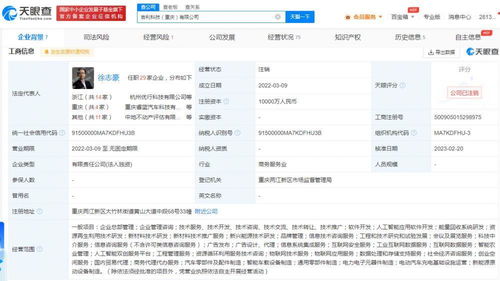 吉利科技重慶公司注銷始末 成立不足一年，新能源原動設備銷售業務何去何從？