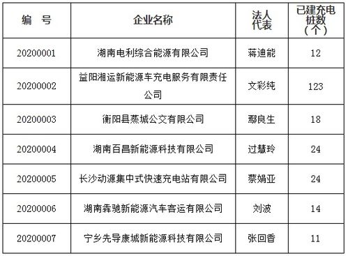 7家企業入選湖南省電動汽車充電設施運營服務商公示目錄，推動充電設施建設運營